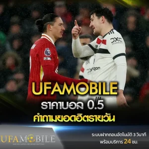 ราคาบอลครึ่งลูก